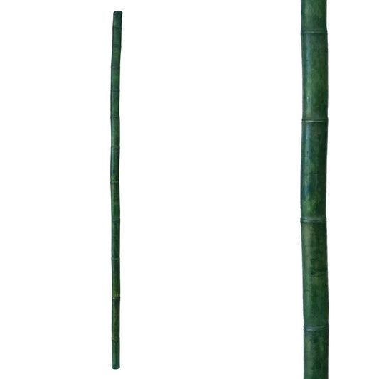 Φυσικό Καλάμι Μπαμπού Πράσινο Φ4/5x180cm  23326-1