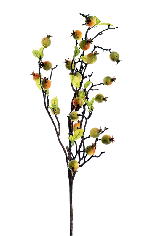 ΡΟΔΙ ΚΛΑΔΙ 2 ΧΡΩΜΑΤΑ