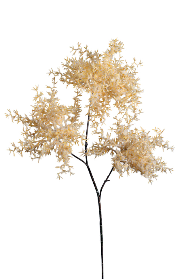 ΛΟΥΛΟΥΔΙ ΤΡΙΠΛΟ ΜΠΕΖ 94ΕΚ