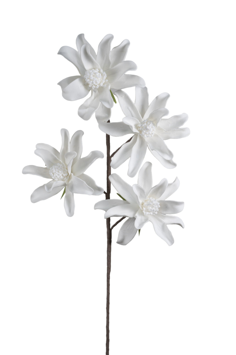 ΛΟΥΛΟΥΔΙ ΠΕΝΤΑΠΛΟ ΛΕΥΚΟ  104ΕΚ