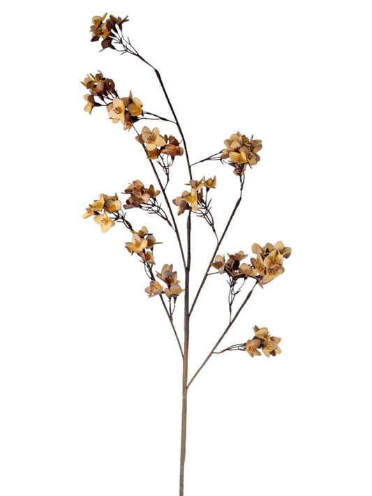 ΚΛΑΔΙ ΜΕ ΦΥΛΛΑ ΚΑΦΕ ΜΩΒ 120ΕΚ