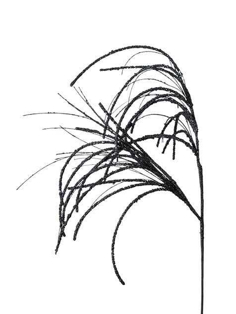 ΧΡΙΣΤΟΥΓΕΝΝΙΑΤΙΚΑ ΚΛΑΔΙΑ ΜΑΥΡΑ 89ΕΚ