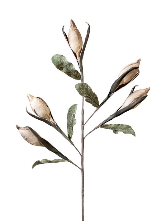 ΛΟΥΛΟΥΔΙ ΚΑΦΕ ΔΙΠΛΟ ΜΕ ΜΠΟΥΜΠΟΥΚΙ  90ΕΚ