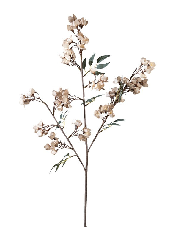 ΛΟΥΛΟΥΔΑΚΙΑ ΚΑΦΕ 108ΕΚ