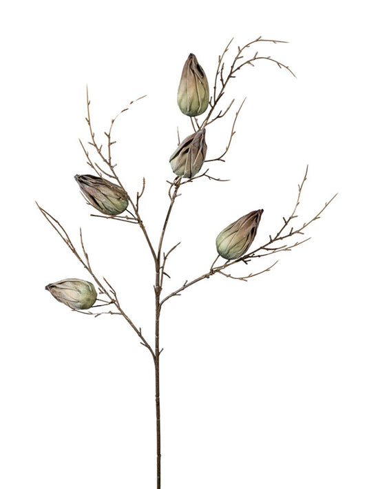 ΚΛΑΔΙ ΜΕ ΚΑΡΠΟΥΣ ΚΟΚΚΙΝΟ ΠΡΑΣΙΝΟΥΣ 85ΕΚ