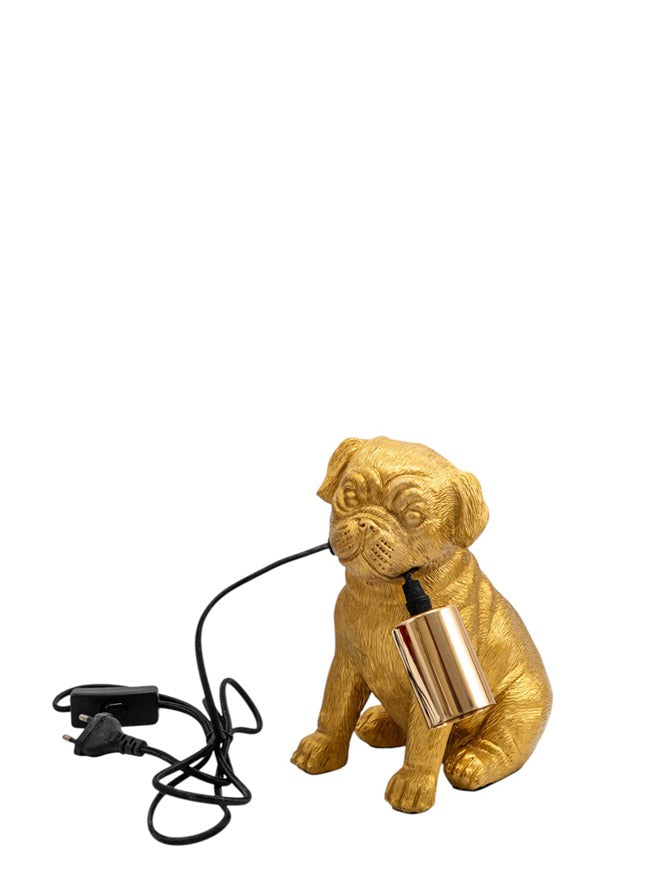 ΠΟΛΥΕΣΤΕΡΙΚΗ ΧΡΥΣΟΣ ΛΑΜΠΑ  ΣΚΥΛΟΣ  13Χ19,5Χ22,5ΕΚ