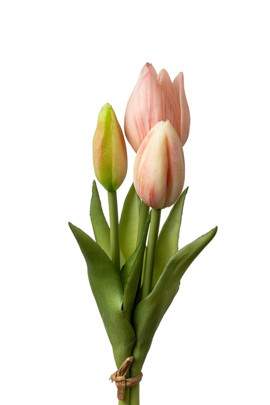 ΛΟΥΛΟΥΔΙ ΤΟΥΛΙΠΑ PVC ΡΟΖ ΜΠΟΥΚΕΤΟ  26ΕΚ