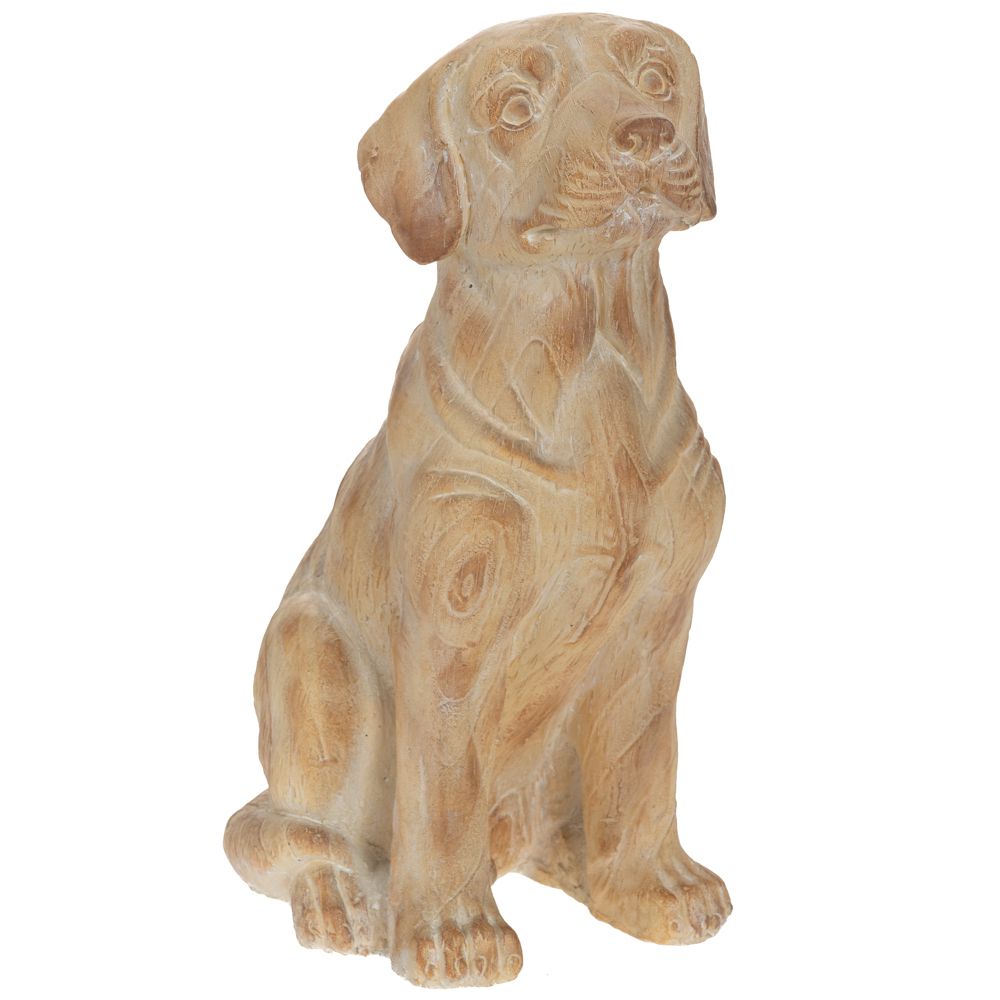  ΔΙΑΚΟΣΜΗΤΙΚΟΣ ΣΚΥΛΟΣ ΑΠΌ ΠΟΛΥΡΕΖΙΝΗ 35X21X47EK