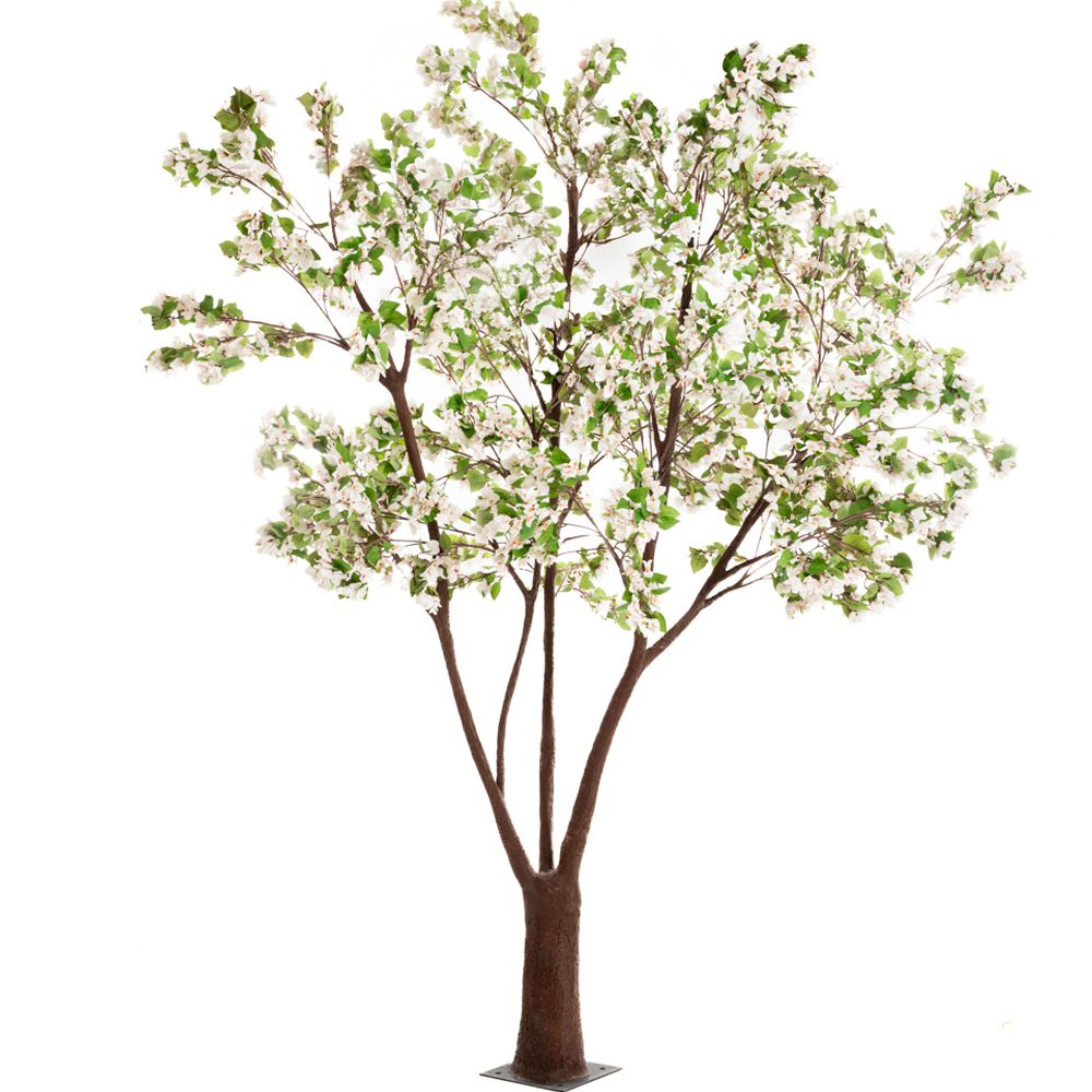  ΔΕΝΤΡΟ ΛΕΥΚΟ ΒΟΥΚΑΜΒΙΛΙΑ 320ΕΚ