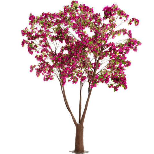  ΔΕΝΤΡΟ ΦΟΥΞΙΑ ΒΟΥΚΑΜΒΙΛΙΑ 320ΕΚ