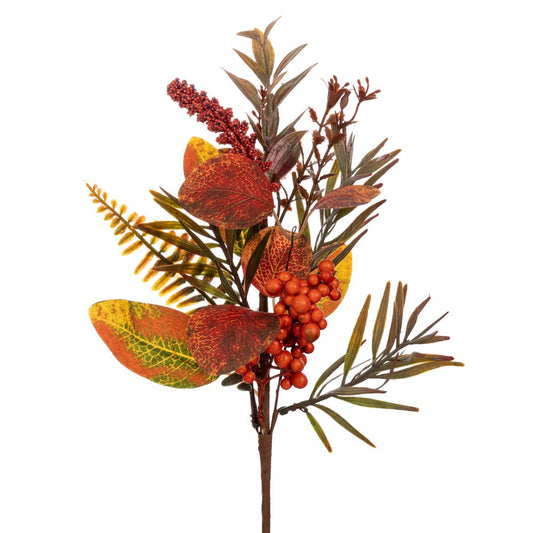  ΦΘΙΝΟΠΩΡΙΝΟ ΚΛΑΔΙ ΜΕ ΠΟΡΤΟΚΑΛΙ BERRIES 31EK