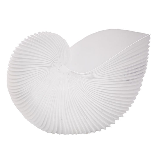 ΛΕΥΚΟ ΠΟΛΥΡΕΖΙΝ ΔΙΑΚΟΣΜΗΤΙΚΟ ΚΟΧΥΛΙ 41Χ24Χ27,5ΕΚ