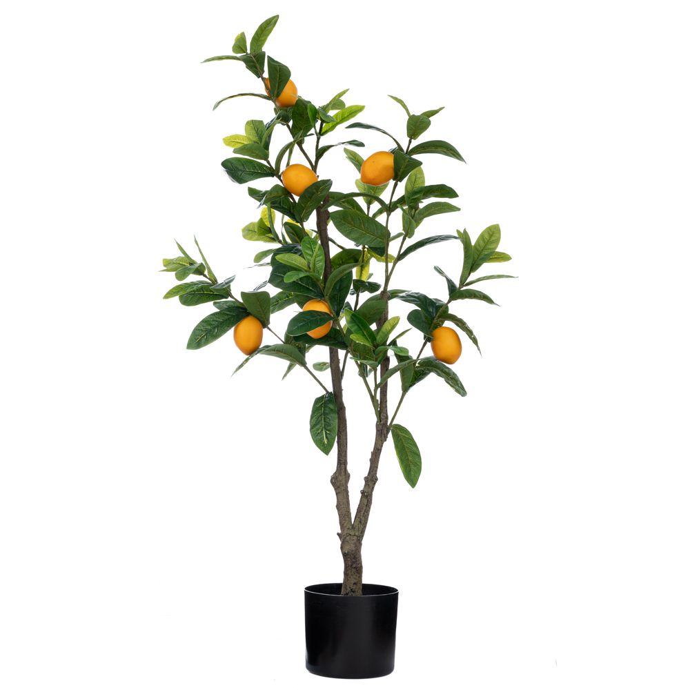 ΛΕΜΟΝΙΑ 100ΕΚ ΣΕ ΓΛΑΣΤΡΑ Φ15Χ13ΕΚ